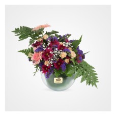 Avin Gerberas Flower Vase